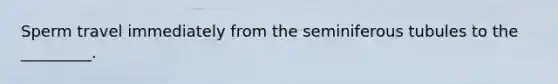 Sperm travel immediately from the seminiferous tubules to the _________.