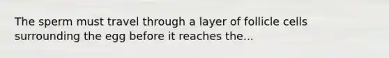 The sperm must travel through a layer of follicle cells surrounding the egg before it reaches the...