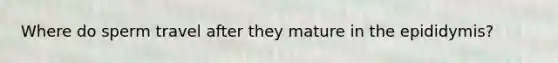 Where do sperm travel after they mature in the epididymis?