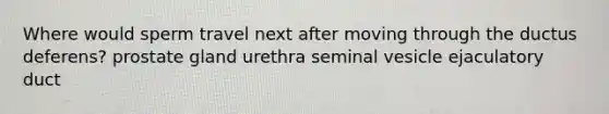 Where would sperm travel next after moving through the ductus deferens? prostate gland urethra seminal vesicle ejaculatory duct