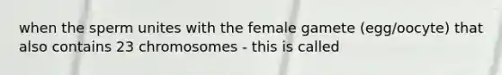 when the sperm unites with the female gamete (egg/oocyte) that also contains 23 chromosomes - this is called