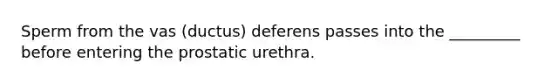 Sperm from the vas (ductus) deferens passes into the _________ before entering the prostatic urethra.