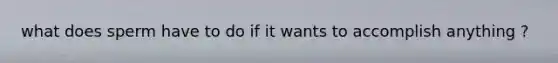 what does sperm have to do if it wants to accomplish anything ?