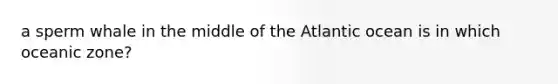 a sperm whale in the middle of the Atlantic ocean is in which oceanic zone?