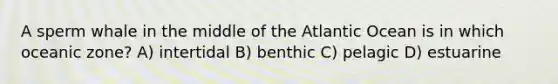 A sperm whale in the middle of the Atlantic Ocean is in which oceanic zone? A) intertidal B) benthic C) pelagic D) estuarine