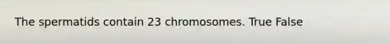 The spermatids contain 23 chromosomes. True False