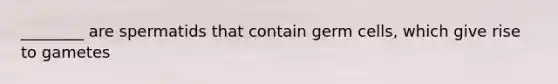 ________ are spermatids that contain germ cells, which give rise to gametes