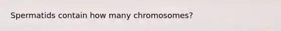 Spermatids contain how many chromosomes?