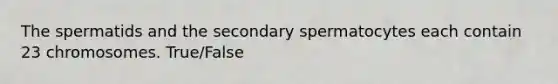 The spermatids and the secondary spermatocytes each contain 23 chromosomes. True/False