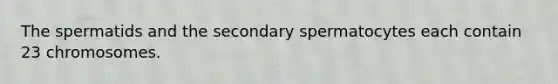 The spermatids and the secondary spermatocytes each contain 23 chromosomes.