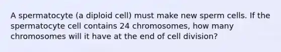 A spermatocyte (a diploid cell) must make new sperm cells. If the spermatocyte cell contains 24 chromosomes, how many chromosomes will it have at the end of <a href='https://www.questionai.com/knowledge/kjHVAH8Me4-cell-division' class='anchor-knowledge'>cell division</a>?