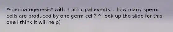 *spermatogenesis* with 3 principal events: - how many sperm cells are produced by one germ cell? ^ look up the slide for this one i think it will help)