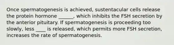 Once spermatogenesis is achieved, sustentacular cells release the protein hormone ______, which inhibits the FSH secretion by the anterior pituitary. If spermatogenesis is proceeding too slowly, less ____ is released, which permits more FSH secretion, increases the rate of spermatogenesis.