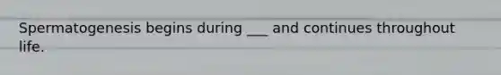 Spermatogenesis begins during ___ and continues throughout life.
