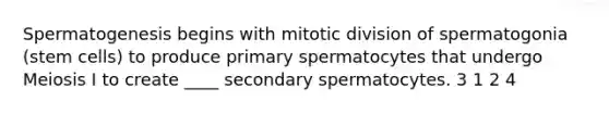 Spermatogenesis begins with mitotic division of spermatogonia (stem cells) to produce primary spermatocytes that undergo Meiosis I to create ____ secondary spermatocytes. 3 1 2 4