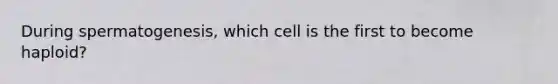 During spermatogenesis, which cell is the first to become haploid?