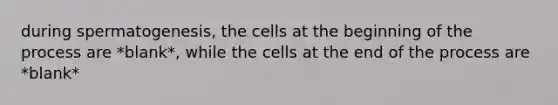 during spermatogenesis, the cells at the beginning of the process are *blank*, while the cells at the end of the process are *blank*