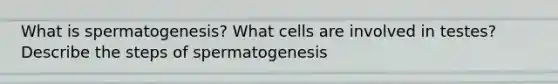 What is spermatogenesis? What cells are involved in testes? Describe the steps of spermatogenesis