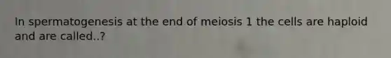 In spermatogenesis at the end of meiosis 1 the cells are haploid and are called..?