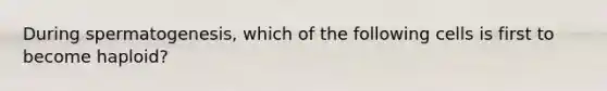 During spermatogenesis, which of the following cells is first to become haploid?