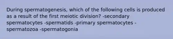 During spermatogenesis, which of the following cells is produced as a result of the first meiotic division? -secondary spermatocytes -spermatids -primary spermatocytes -spermatozoa -spermatogonia