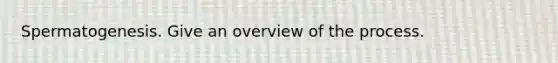 Spermatogenesis. Give an overview of the process.