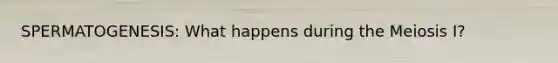 SPERMATOGENESIS: What happens during the Meiosis I?