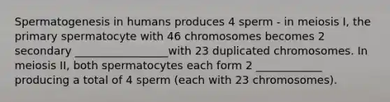 Spermatogenesis in humans produces 4 sperm - in meiosis I, the primary spermatocyte with 46 chromosomes becomes 2 secondary _________________with 23 duplicated chromosomes. In meiosis II, both spermatocytes each form 2 ____________ producing a total of 4 sperm (each with 23 chromosomes).