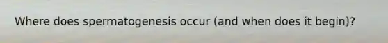 Where does spermatogenesis occur (and when does it begin)?