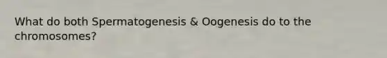 What do both Spermatogenesis & Oogenesis do to the chromosomes?