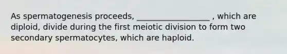 As spermatogenesis proceeds, __________________ , which are diploid, divide during the first meiotic division to form two secondary spermatocytes, which are haploid.