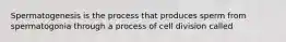 Spermatogenesis is the process that produces sperm from spermatogonia through a process of cell division called