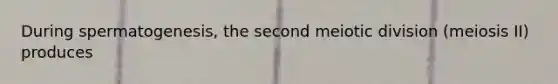 During spermatogenesis, the second meiotic division (meiosis II) produces