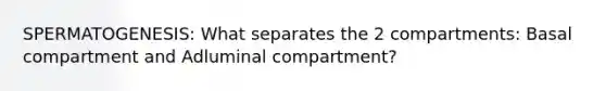 SPERMATOGENESIS: What separates the 2 compartments: Basal compartment and Adluminal compartment?