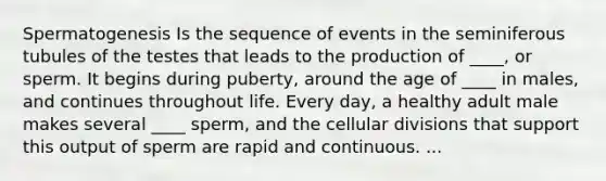 Spermatogenesis Is the sequence of events in the seminiferous tubules of the testes that leads to the production of ____, or sperm. It begins during puberty, around the age of ____ in males, and continues throughout life. Every day, a healthy adult male makes several ____ sperm, and the cellular divisions that support this output of sperm are rapid and continuous. ...