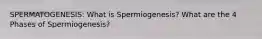 SPERMATOGENESIS: What is Spermiogenesis? What are the 4 Phases of Spermiogenesis?