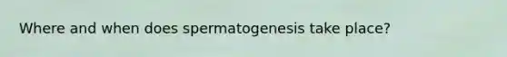 Where and when does spermatogenesis take place?