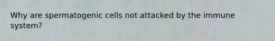 Why are spermatogenic cells not attacked by the immune system?