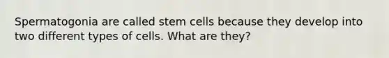 Spermatogonia are called stem cells because they develop into two different types of cells. What are they?