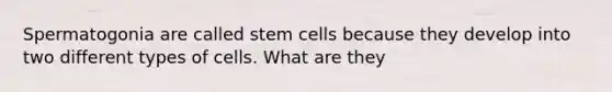 Spermatogonia are called stem cells because they develop into two different types of cells. What are they