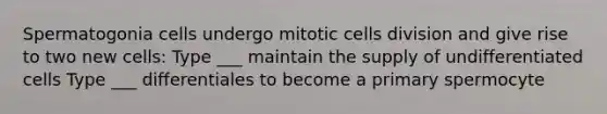 Spermatogonia cells undergo mitotic cells division and give rise to two new cells: Type ___ maintain the supply of undifferentiated cells Type ___ differentiales to become a primary spermocyte