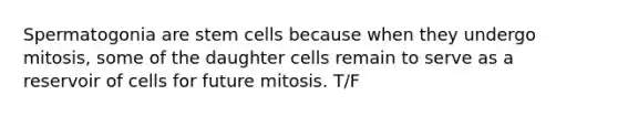 Spermatogonia are stem cells because when they undergo mitosis, some of the daughter cells remain to serve as a reservoir of cells for future mitosis. T/F