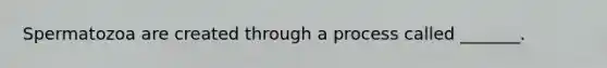 Spermatozoa are created through a process called _______.