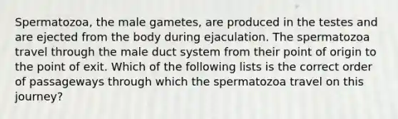 Spermatozoa, the male gametes, are produced in the testes and are ejected from the body during ejaculation. The spermatozoa travel through the male duct system from their point of origin to the point of exit. Which of the following lists is the correct order of passageways through which the spermatozoa travel on this journey?