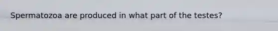 Spermatozoa are produced in what part of the testes?