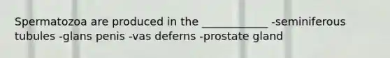 Spermatozoa are produced in the ____________ -seminiferous tubules -glans penis -vas deferns -prostate gland