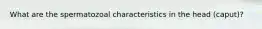 What are the spermatozoal characteristics in the head (caput)?