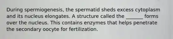 During spermiogenesis, the spermatid sheds excess cytoplasm and its nucleus elongates. A structure called the _______ forms over the nucleus. This contains enzymes that helps penetrate the secondary oocyte for fertilization.