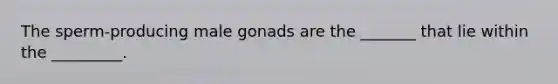 The sperm-producing male gonads are the _______ that lie within the _________.