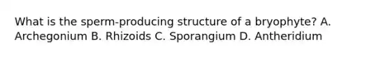 What is the sperm-producing structure of a bryophyte? A. Archegonium B. Rhizoids C. Sporangium D. Antheridium